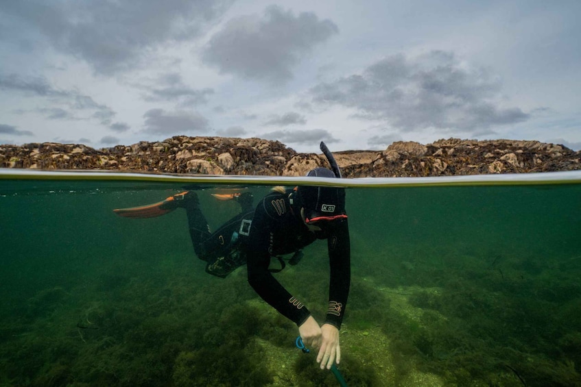 Coral Beach Snorkeling Galway