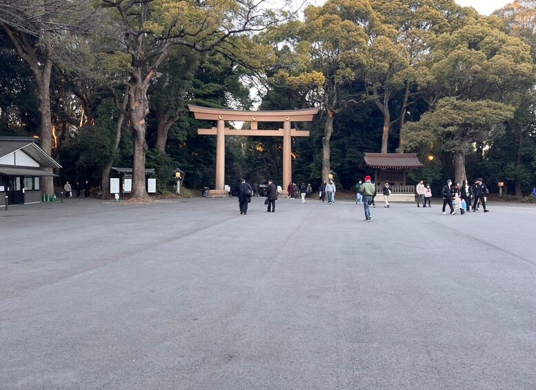 Picture 8 for Activity Meiji Shrine visit and shopping & sweets tour in Harajuku