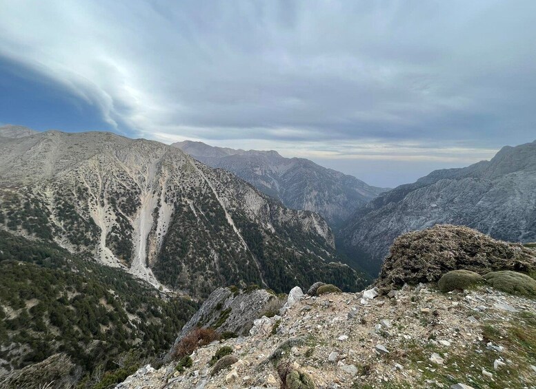 Picture 4 for Activity Private Tour to The White Mountains & Samaria from Above