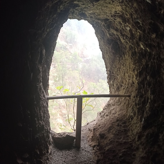 Picture 5 for Activity La Palma: Guided trekking tour Springs Marcos y Cordero