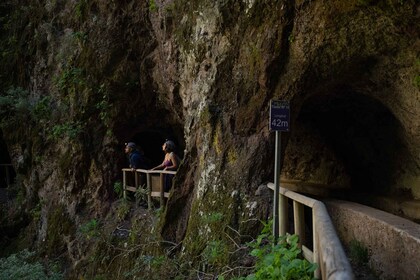 La Palma: Guidet trekkingtur Springs Marcos y Cordero