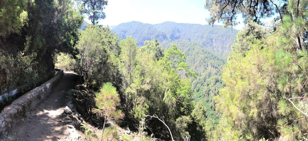 Picture 1 for Activity La Palma: Guided trekking tour Springs Marcos y Cordero