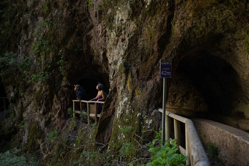 La Palma: Guided trekking tour Springs Marcos y Cordero