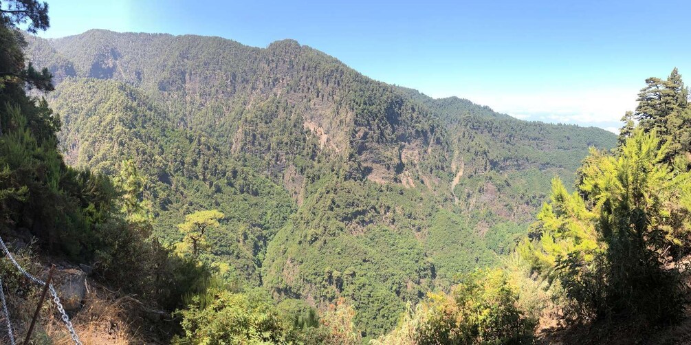 Picture 2 for Activity La Palma: Guided trekking tour Springs Marcos y Cordero