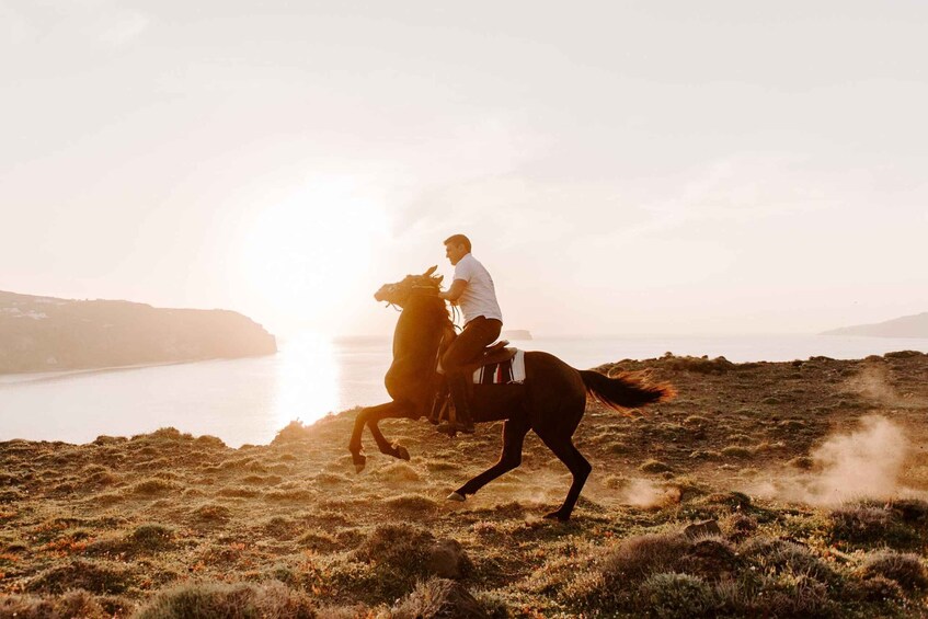 Picture 5 for Activity Megalochori: Horseback Riding Tour for Experienced Riders