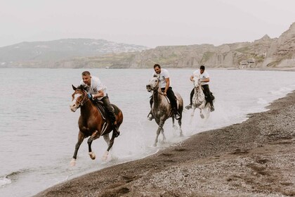 Megalochori : Randonnée à cheval excursion pour cavaliers expérimentés