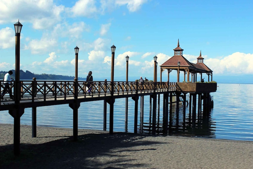 Picture 1 for Activity Puerto Varas: Half-Day Tour to Frutillar and Llanquihue