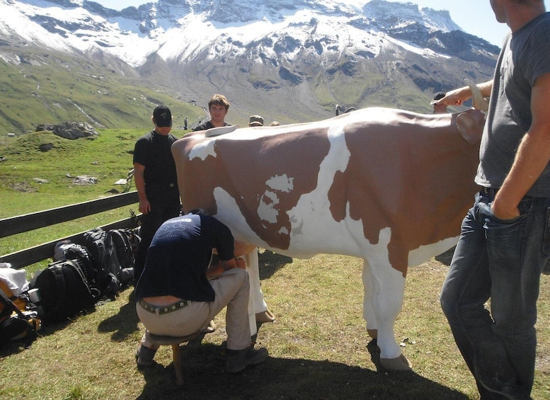 The Alpine Olympics, 2000 Meters Above Sea Level