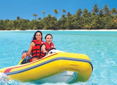 St. Martin: 3-Hour Rhino Safari Excursion