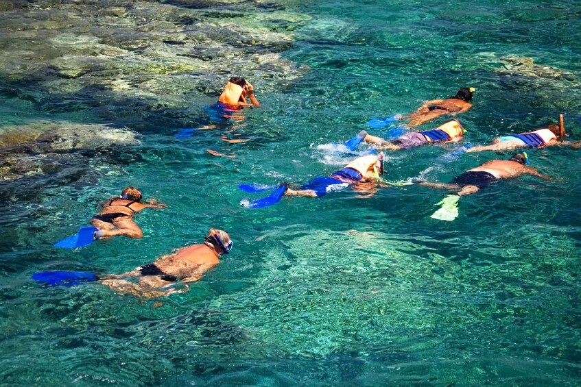 Picture 1 for Activity Snorkeling Tours in Papagayo