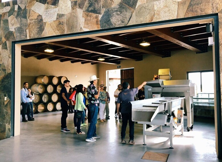 Picture 1 for Activity Ensenada: Rondo del Valley Winery Tour with 5 Tastings