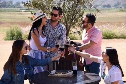 Ensenada: Rondo del Valley Winery Tour with 5 Tastings