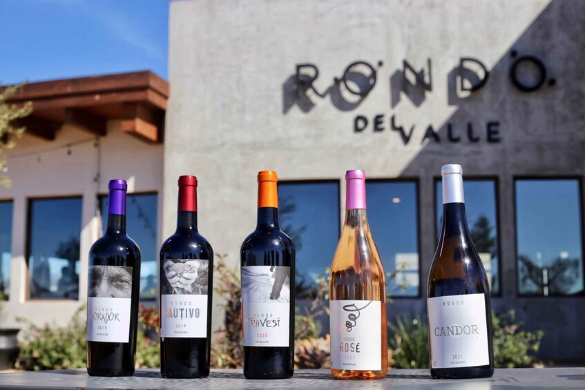 Picture 2 for Activity Ensenada: Rondo del Valley Winery Tour with 5 Tastings