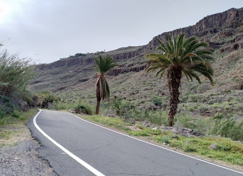 Picture 34 for Activity Maspalomas: Southern Coast E-Bike Tour Option Tapas Tasting