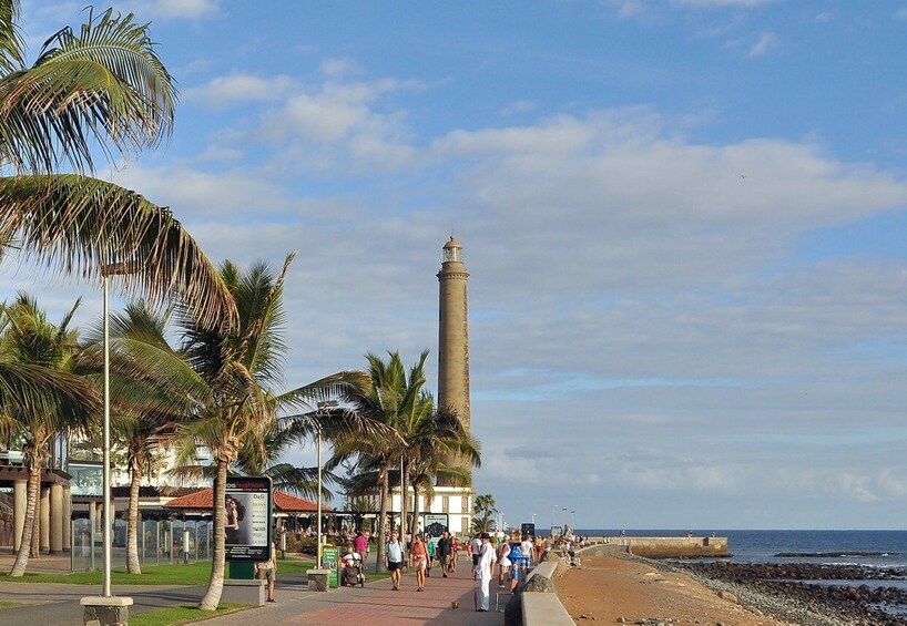 Picture 19 for Activity Maspalomas: Southern Coast E-Bike Tour Option Tapas Tasting