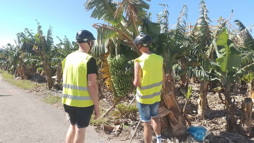 Picture 5 for Activity Maspalomas: Southern Coast E-Bike Tour Option Tapas Tasting