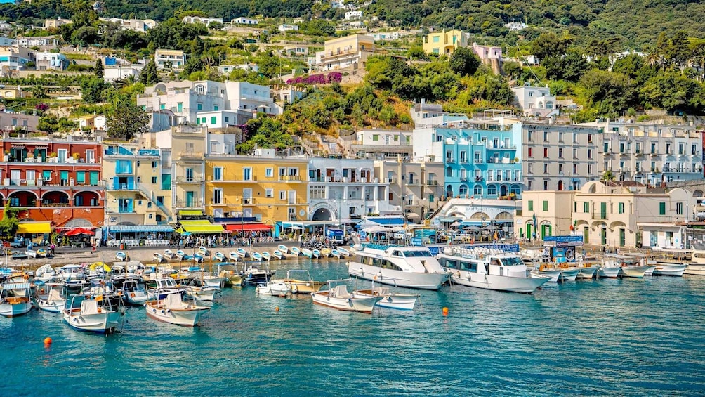 Picture 6 for Activity From Positano: Day trip to Capri - Group Tour by boat