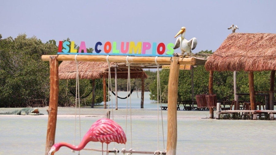 Progreso isla columpio and pig beach club day pass