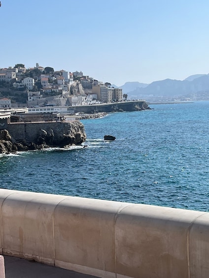 Picture 11 for Activity Marseille: Half Day E-Bike tour sea front and food tasting