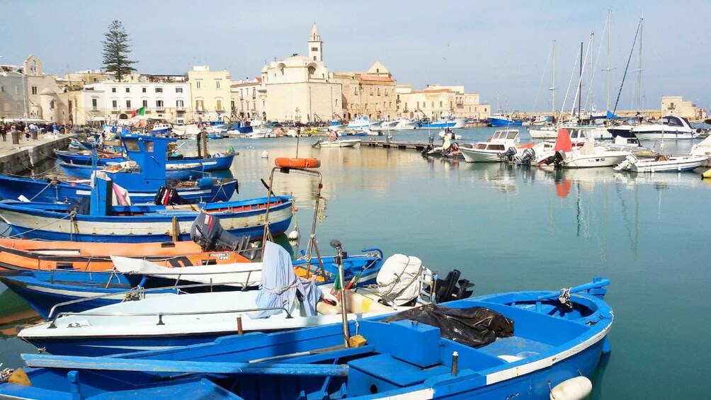 Picture 2 for Activity Private Trani Walking Tour with Moscato Wine Tasting