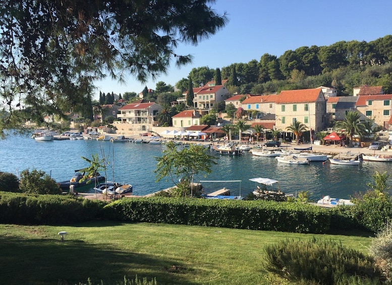 Picture 2 for Activity From Trogir or Split: Blue Lagoon and 3 Islands Tour