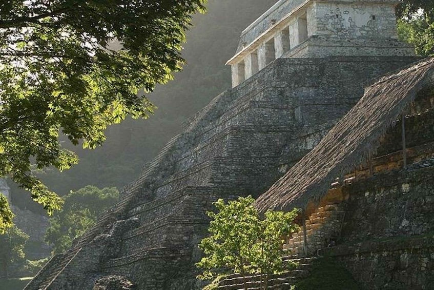 Picture 3 for Activity Palenque Archaeological Site from Palenque
