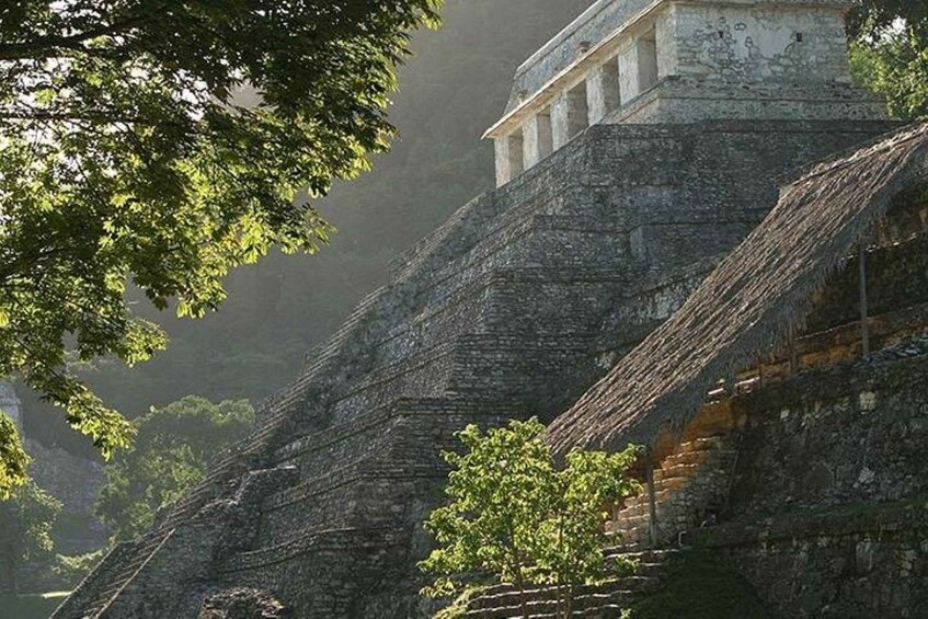 Picture 3 for Activity Palenque Archaeological Site from Palenque