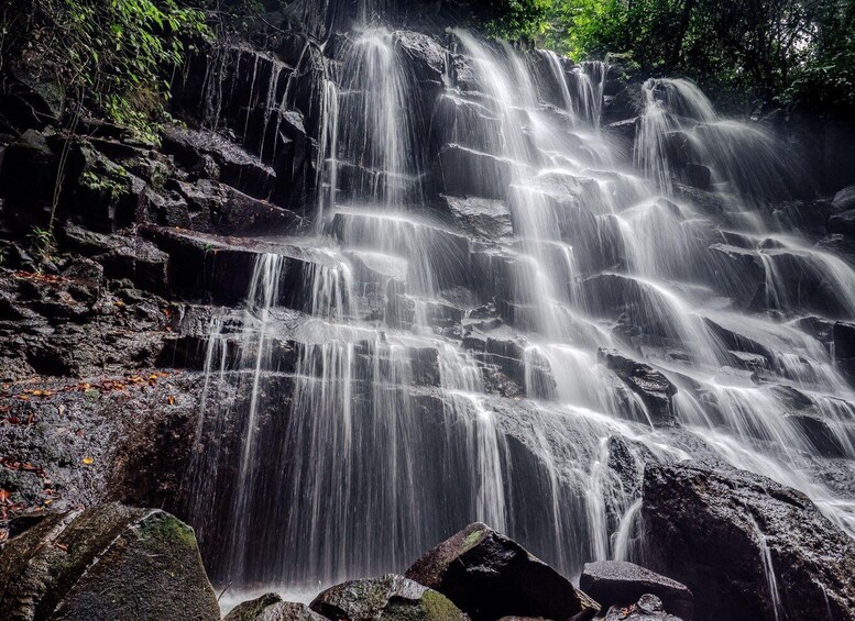 Picture 4 for Activity Ubud: Hidden Gems and Waterfalls Private Tour