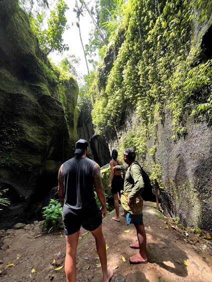 Picture 54 for Activity Ubud: Hidden Gems and Waterfalls Private Tour