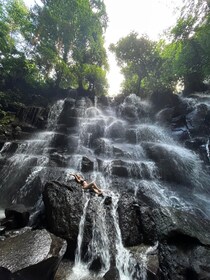 Ubud: Kätketyt jalokivet ja vesiputoukset Yksityinen kierros