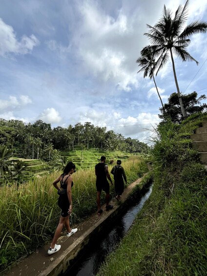 Picture 42 for Activity Ubud: Hidden Gems and Waterfalls Private Tour