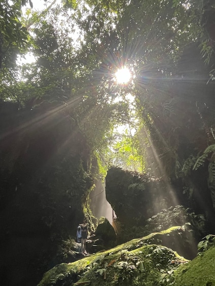 Picture 104 for Activity Ubud: Hidden Gems and Waterfalls Private Tour