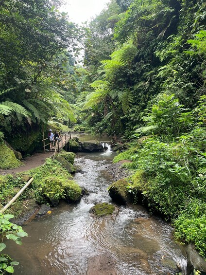 Picture 100 for Activity Ubud: Hidden Gems and Waterfalls Private Tour
