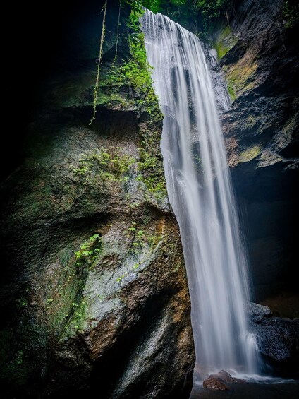 Picture 15 for Activity Ubud: Hidden Gems and Waterfalls Private Tour