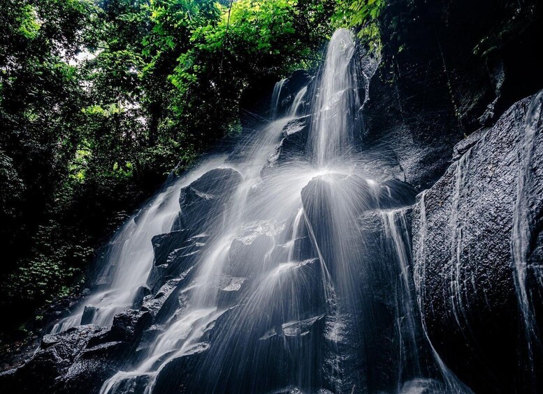 Picture 60 for Activity Ubud: Hidden Gems and Waterfalls Private Tour