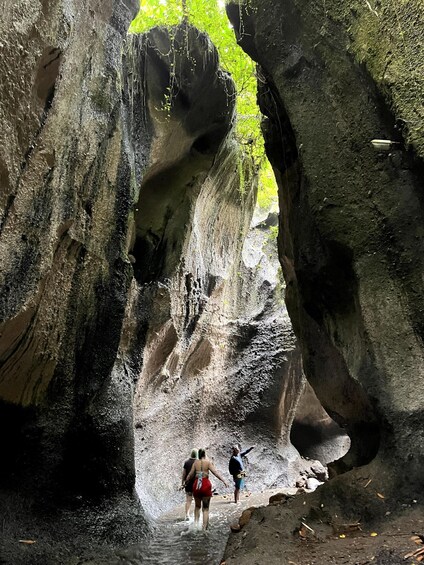 Picture 10 for Activity Ubud: Hidden Gems and Waterfalls Private Tour