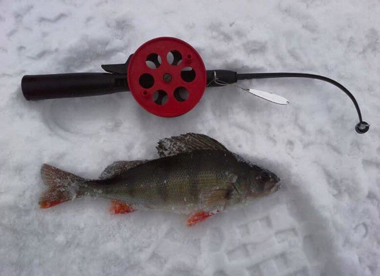 Picture 3 for Activity Ruka: Ice fishing trip