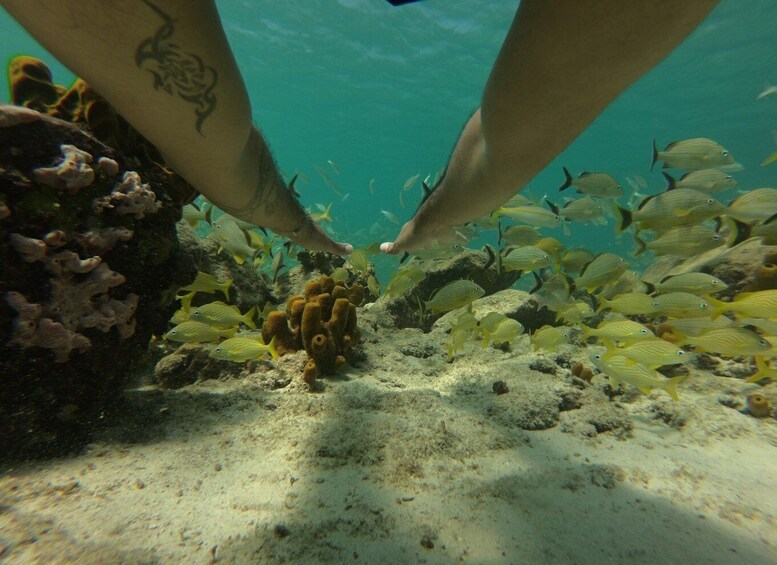 Picture 2 for Activity Aruba: Snorkel Cruise with Open Bar and Light Lunch