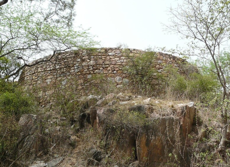 Picture 5 for Activity Secret and Spooky Ruins of Mehrauli Archaeological Park