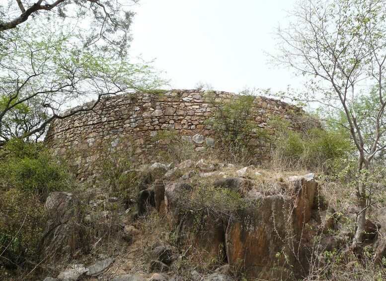 Picture 3 for Activity Secret and Spooky Ruins of Mehrauli Archaeological Park