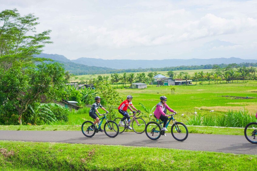 Picture 7 for Activity Village Cycling Tour in Nanggulan