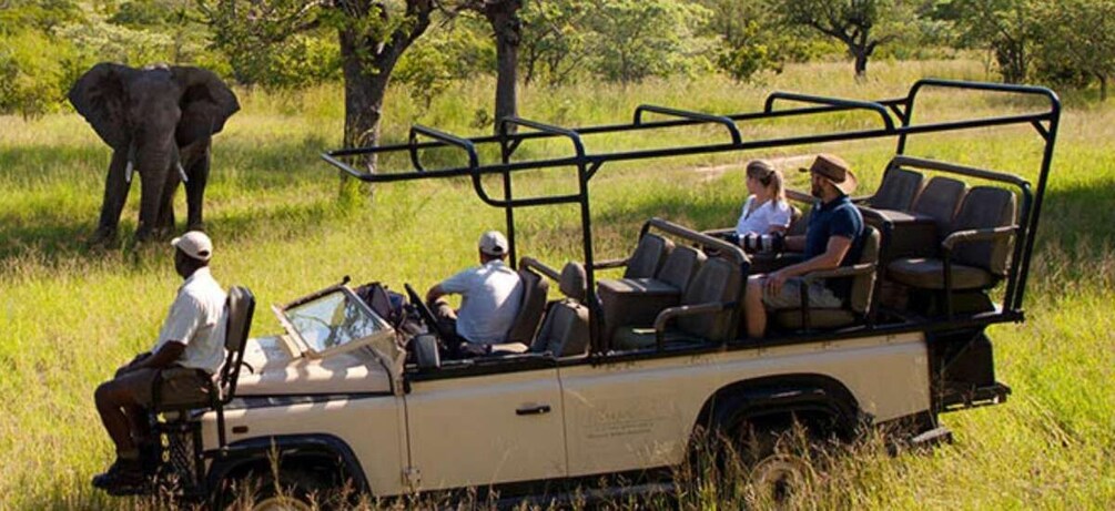 Picture 3 for Activity Hluhluwe Imfolozi Game Reserve Full day tour from Durban