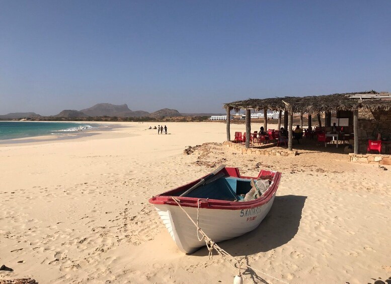 Picture 7 for Activity Boa Vista: Lobster Lunch at Santa Monica Beach