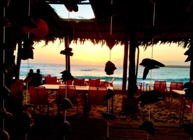 Boa Vista: Lobster Lunch at Santa Monica Beach