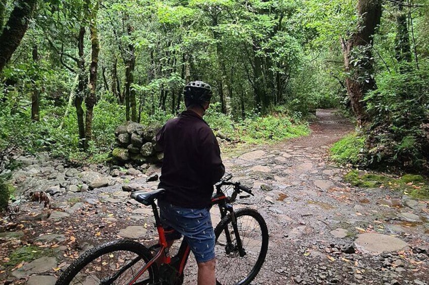 Levada da Camacha Trail by E-Bike