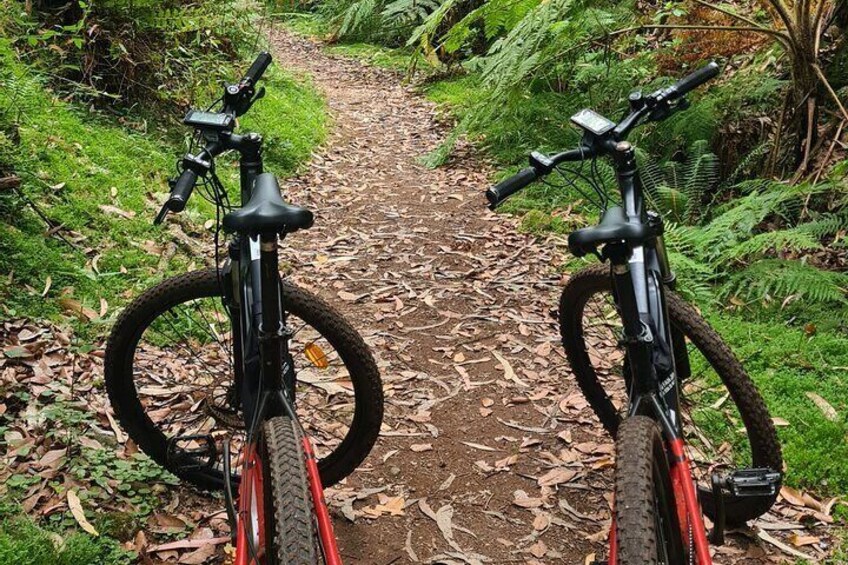 Levada da Camacha Trail by E-Bike