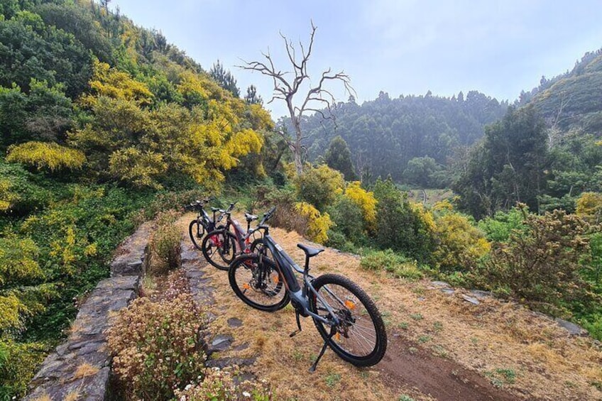 Levada da Camacha Trail by E-Bike