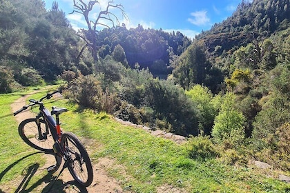 Levada da Camacha Trail by E-Bike