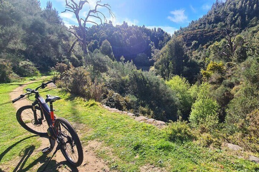 Levada da Camacha Trail by E-Bike