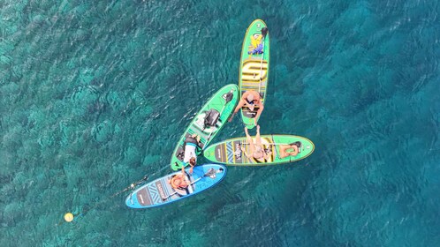 Flamingo Beach: Guided SUP and Snorkelling experience